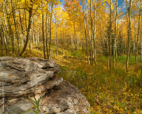 10k Trailhead on a fall day, Sandia Mountains, Cibola National Forest, New Mexico photo