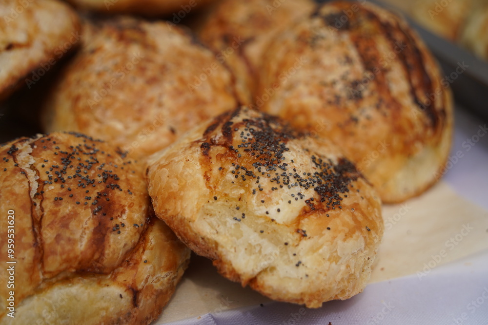 Baked tandoor samsa. Baking with different meats. Baked tandoor samsa. Baking with different meats.