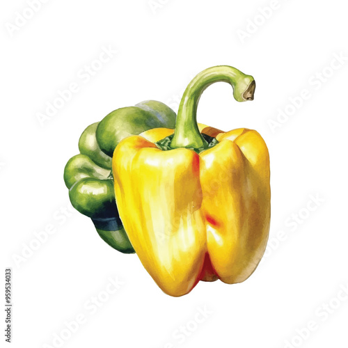 Watercolor of Bell pepper isolated white background