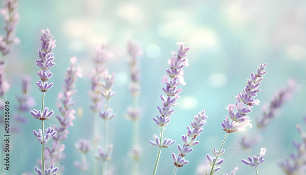Obraz premium Soft watercolor splashes or strokes in muted tones, offering an artistic yet understated look