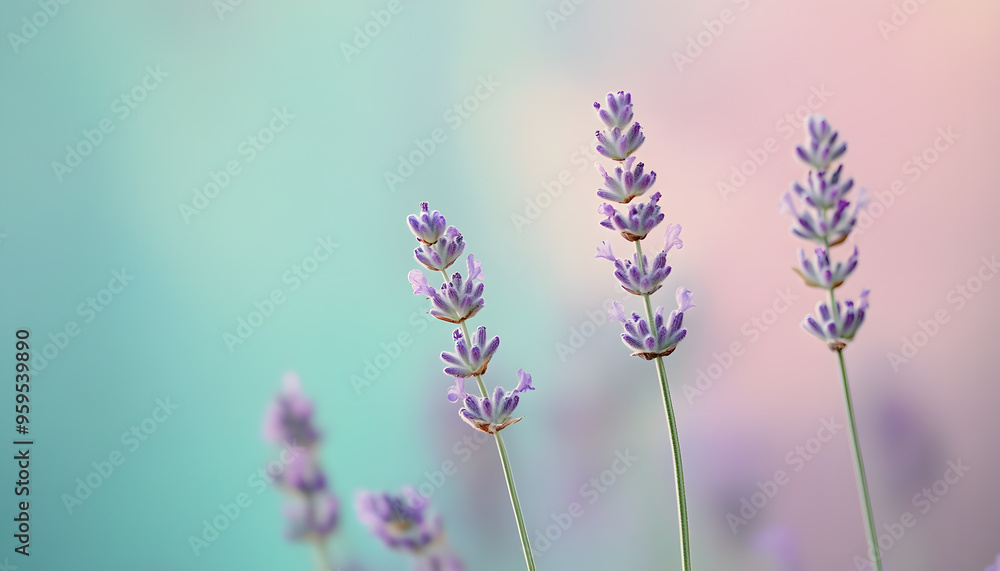 Fototapeta premium Soft watercolor splashes or strokes in muted tones, offering an artistic yet understated look