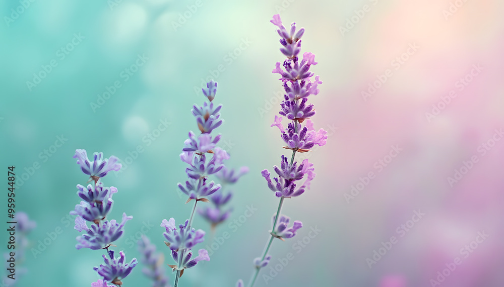Obraz premium A single pastel color, such as mint green or lavender, providing a soothing and simple backdrop