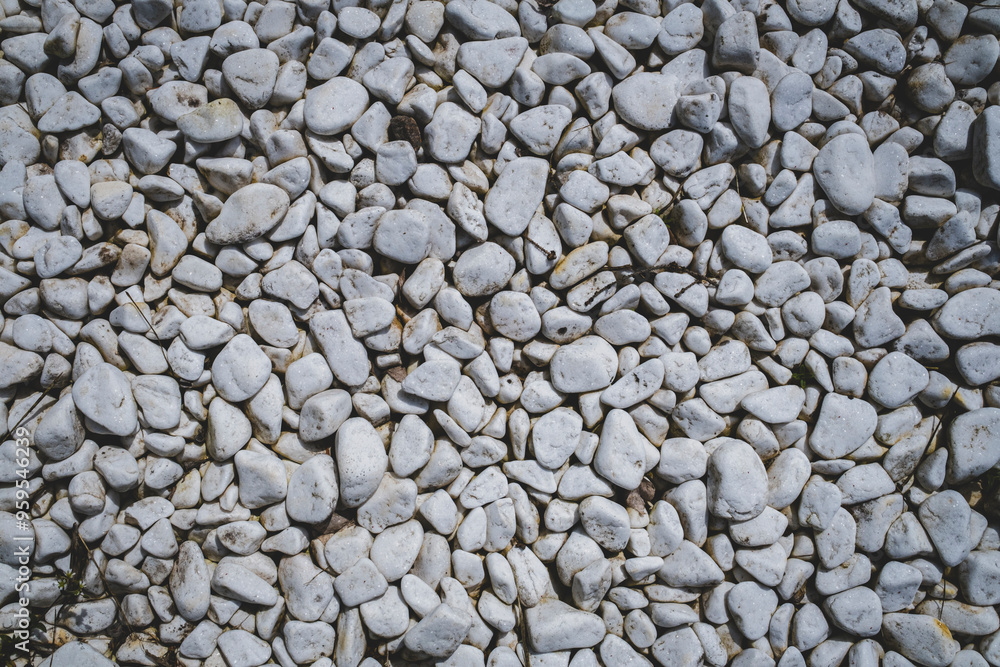wall texture photo background stone floor texture white stone floor in the garden background white stone wall texture stones in the park. wall texture photo background stone floor texture white stone floor in the garden background white stone wall texture stones in the park.