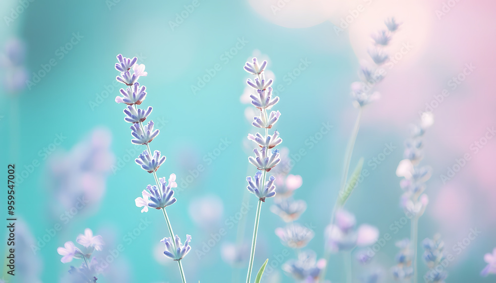Obraz premium A single pastel color, such as mint green or lavender, providing a soothing and simple backdrop