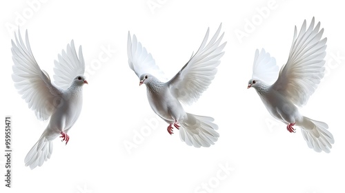 White doves flying in various directions, isolated on a white background, symbolizing peace, freedom, and spirituality, perfect for nature and symbolic concepts in high-detail, minimalist design