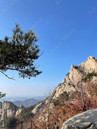 Nature mountains hike view in Korea Bukhansan Bukhan Mountain tree