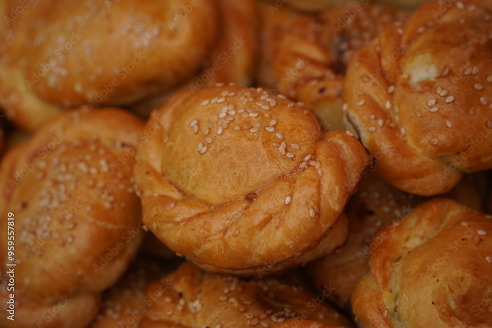 Baked tandoor samsa. Baking with different meats. Baked tandoor samsa. Baking with different meats.