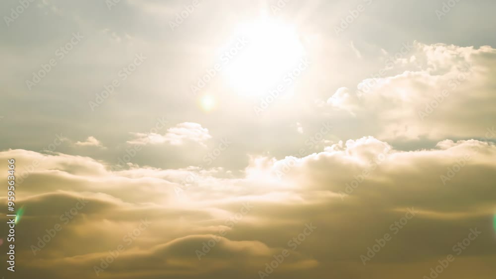 Golden Sun Shining Over Scenic Meadow with Wildflowers Golden Sun Shining Over Scenic Meadow with Wildflowers