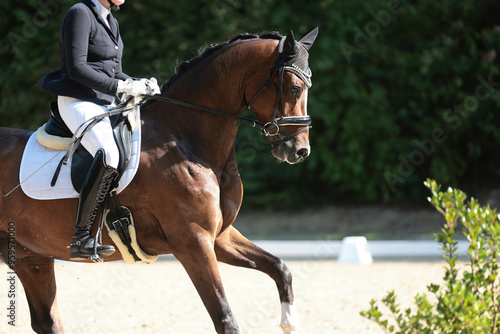 Horse dressage horse, photos of tournament in different hoof figures.