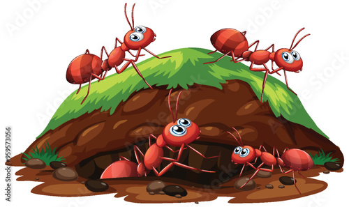 Ants Working Together Near Anthill