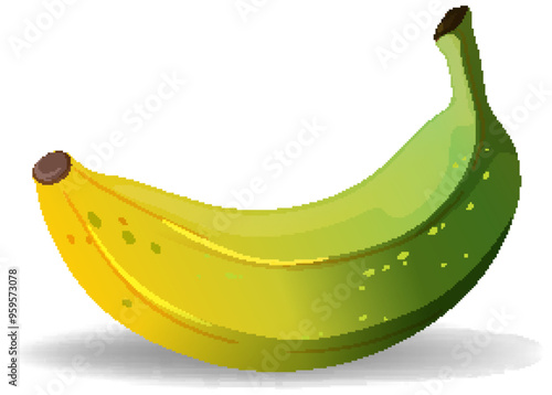 Ripe and Unripe Banana Illustration