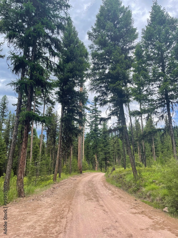 Obraz premium dirt road 