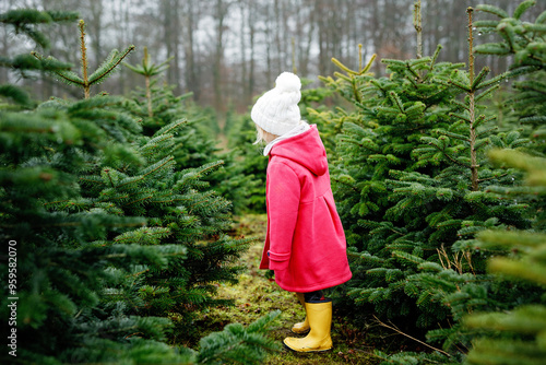 Canvas Print Adorable little toddler girl with Christmas tree on fir tree cutting plantation