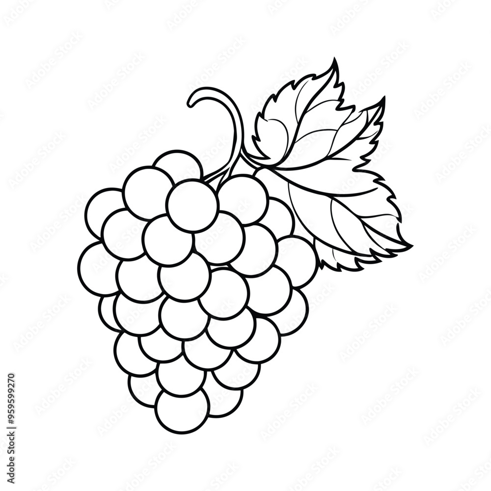 Minimalist Grape Icon. Elegant Line Art in Thin Black Style Minimalist Grape Icon. Elegant Line Art in Thin Black Style