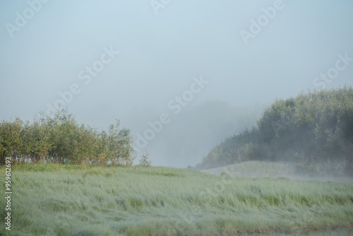 Morning fog in the river