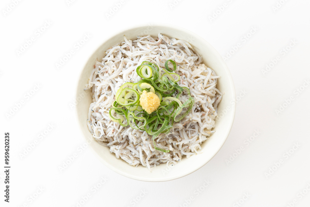 白背景に釜揚げしらす丼 白背景に釜揚げしらす丼
