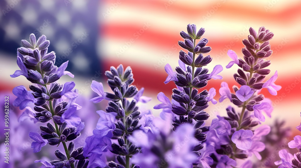 Obraz premium Lavender flowers in front of an American flag background.