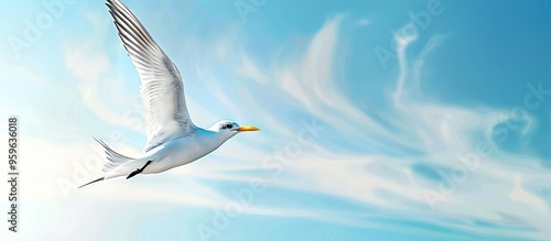 A large billed tern Phaetusa simplex soars through the blue sky Concept of freedom Copyspace