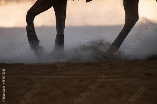 Fotografija Horse feet kicking up dust in sandy soil