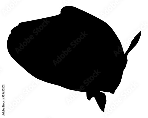 Silhouette of the The Humphead wrasse (Cheilinus undulatus), also known as the Māori wrasse, Napoleon wrasse, Napoleon fish. Flat Style, can use for Logo Gram, Animal Illustration, Pictogram, ect photo