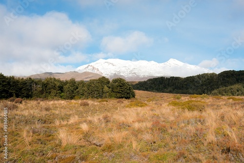 Mount Ruapehu, autumn 2024 photo