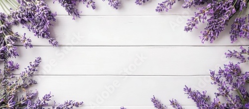 Frame of lavender on a whit...