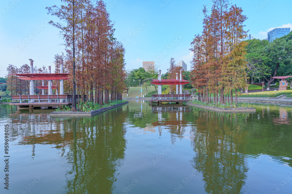 Grove of Larch in Qiandeng Lake Park, Foshan Grove of Larch in Qiandeng Lake Park, Foshan