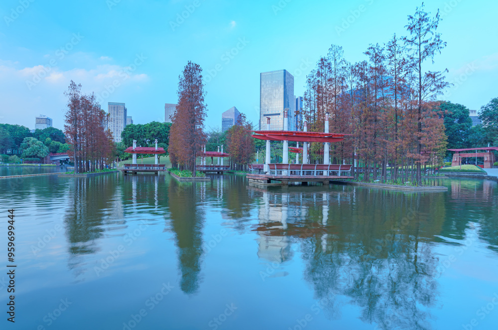 Fototapeta premium Grove of Larch in Qiandeng Lake Park, Foshan