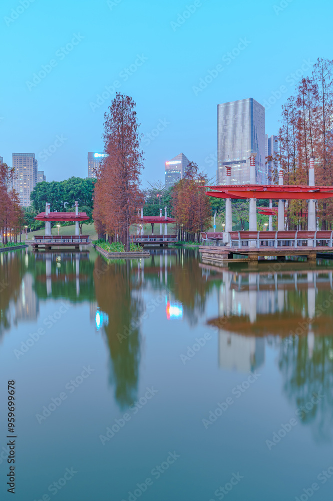 Fototapeta premium Grove of Larch in Qiandeng Lake Park, Foshan