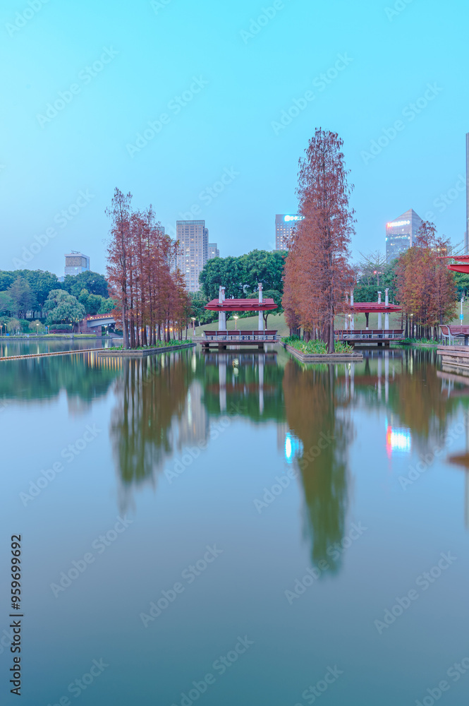 Grove of Larch in Qiandeng Lake Park, Foshan Grove of Larch in Qiandeng Lake Park, Foshan