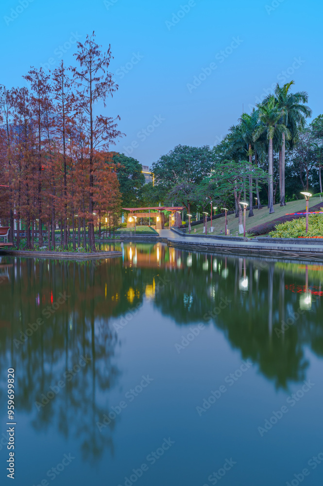 Grove of Larch in Qiandeng Lake Park, Foshan Grove of Larch in Qiandeng Lake Park, Foshan