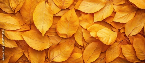 Textured background of leav...