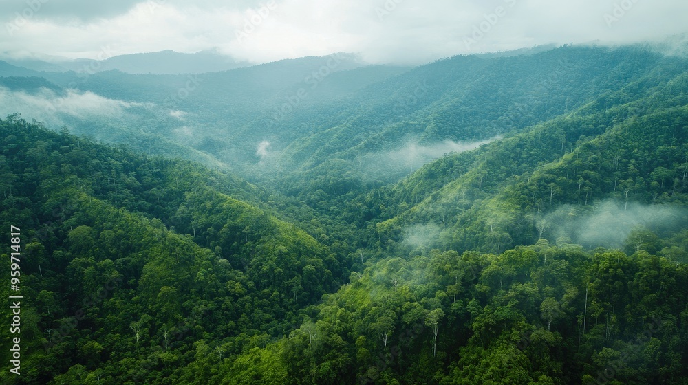 Naklejka premium Aerial shot of the rainforest-covered valleys and waterfalls in the Bukit Barisan Selatan National Park, Sumatra.
