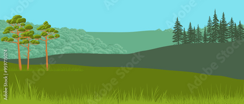 vector drawing landscape with fir trees, pines and grass, spruce trees, coniferous trees, natural forest background, hand drawn illustration