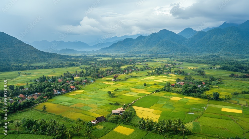 Obraz premium Bird's eye view of the expansive paddy fields and remote villages in the Xieng Khouang Province.