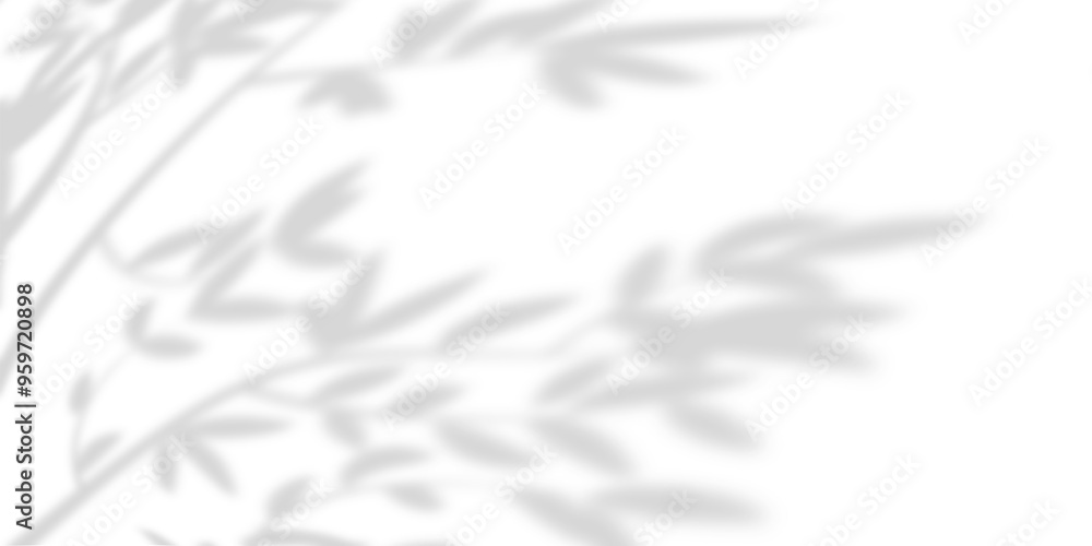 White wall background of trees soft shadows and gradients. Natural pattern, branch and leaves with gray shadow. Copy space White wall background of trees soft shadows and gradients. Natural pattern, branch and leaves with gray shadow. Copy space