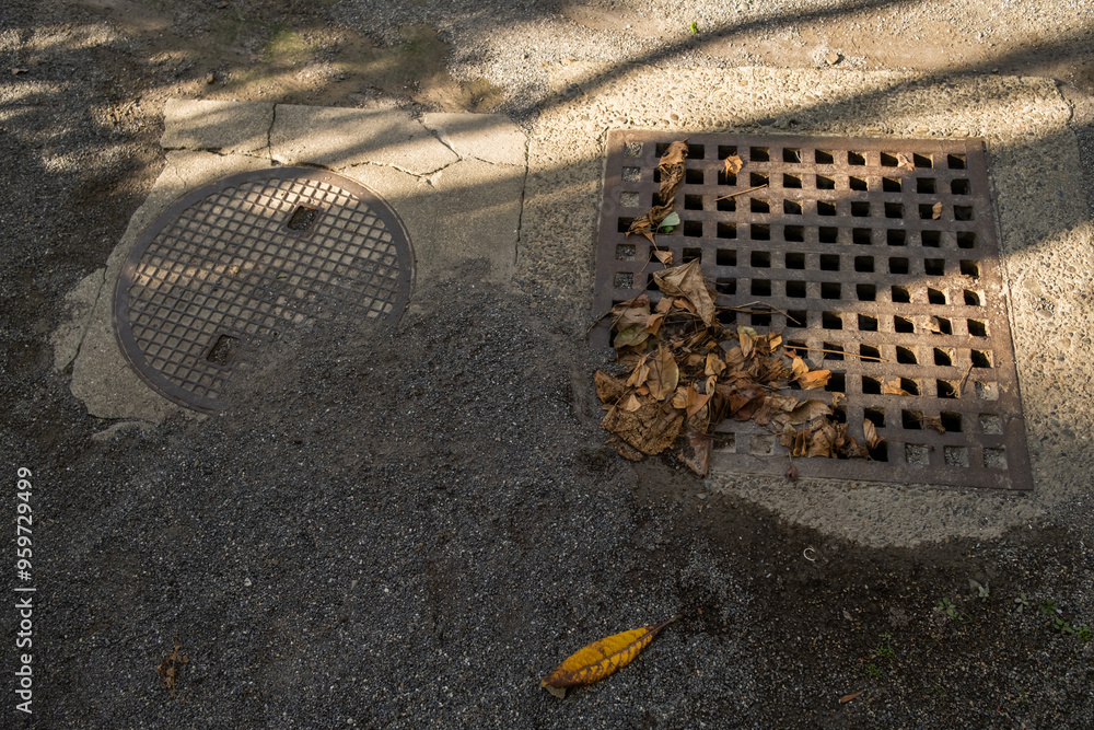 Rusty metal manhole plate with autumn leaves