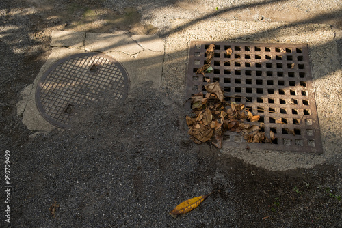 Obraz na płótnie Rusty metal manhole plate with autumn leaves w salonie
