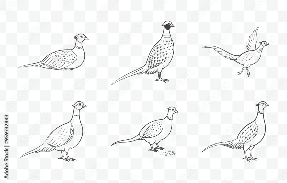 Print Elegant and Detailed Pheasant Line Art Vector Set for Creative Projects and Illustrations Print Elegant and Detailed Pheasant Line Art Vector Set for Creative Projects and Illustrations