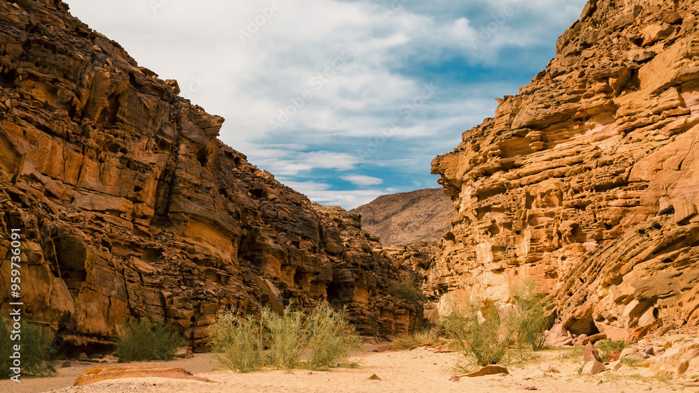 colored canyon with green plants in Egypt Dahab South Sinai colored canyon with green plants in Egypt Dahab South Sinai