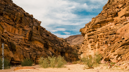 colored canyon with green plants in Egypt Dahab South Sinai