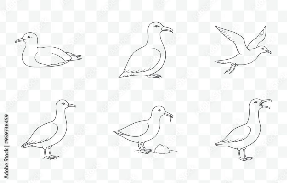 Comprehensive Shearwater Line Art Vector Set for Illustrations and Design Projects in a Detailed Style Comprehensive Shearwater Line Art Vector Set for Illustrations and Design Projects in a Detailed Style