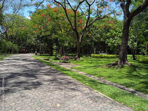 The atmosphere in the park has beautiful flowers and plants photo