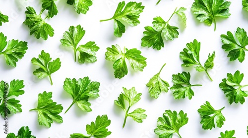 Fresh Tasty Parsley Leaves on White Background