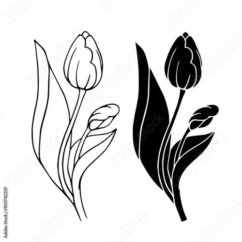 Line sketch, silhouette, stamp of spring flower tblpan. Vector graphics. photo