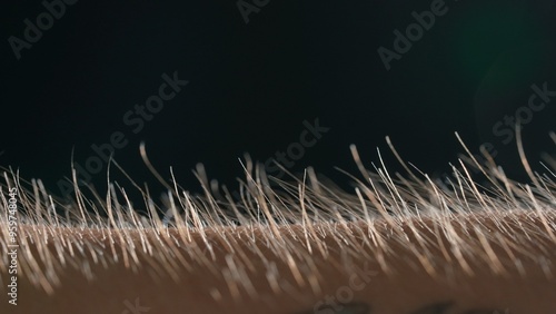 Wallpaper Mural Macro shot of Hair Standing on End Against a Dark Background Torontodigital.ca