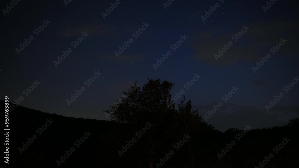 A serene and tranquil twilight scene beautifully showcasing silhouetted trees against a deepening blue sky A serene and tranquil twilight scene beautifully showcasing silhouetted trees against a deepening blue sky