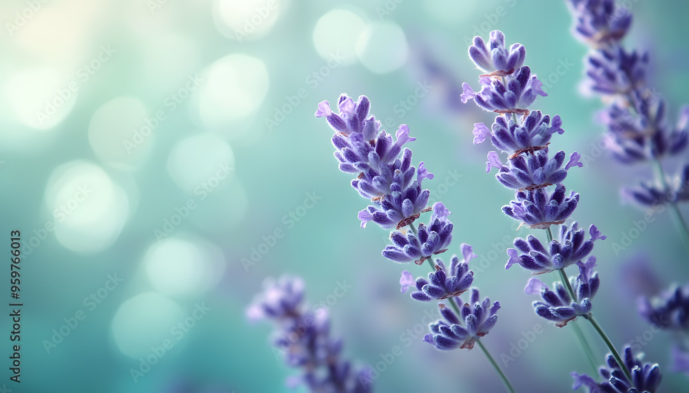 A single pastel color, such as mint green or lavender, providing a soothing and simple backdrop A single pastel color, such as mint green or lavender, providing a soothing and simple backdrop