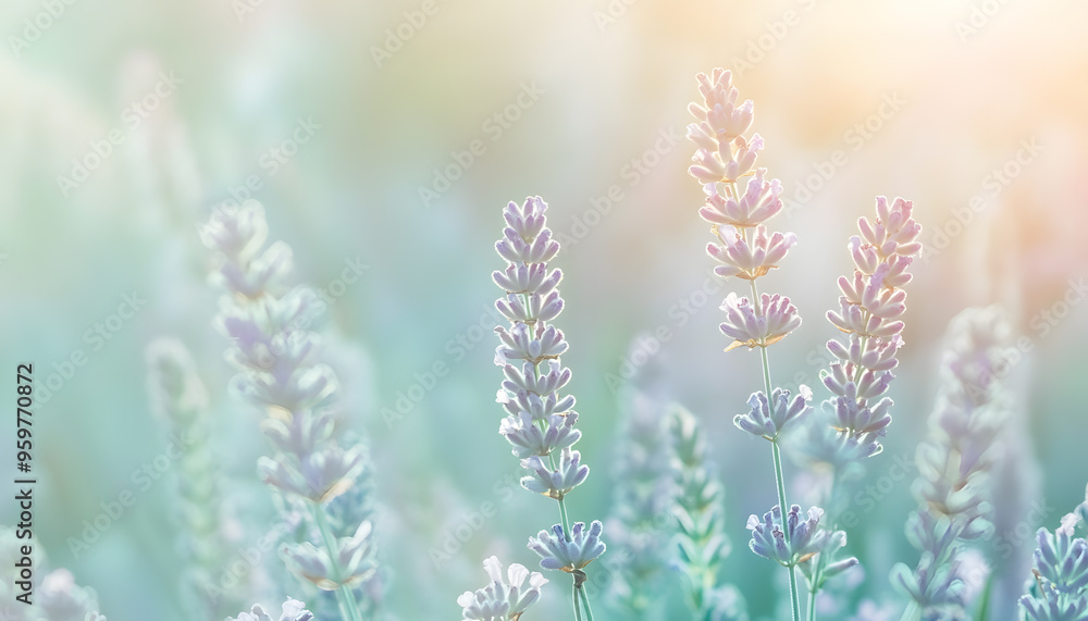 Obraz premium A single pastel color, such as mint green or lavender, providing a soothing and simple backdrop