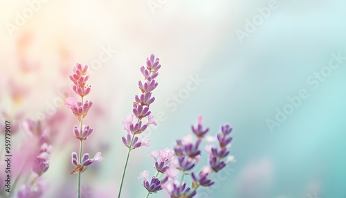 A single pastel color, such as mint green or lavender, providing a soothing and simple backdrop